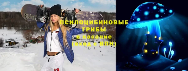 ПСИЛОЦИБИНОВЫЕ ГРИБЫ Богданович