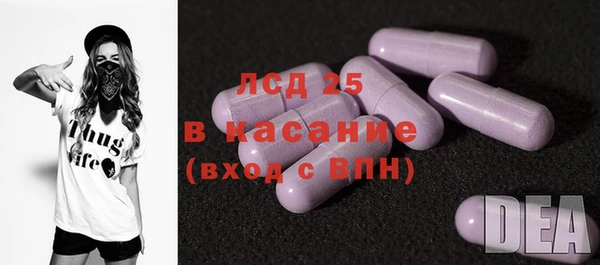 крисы Богородицк