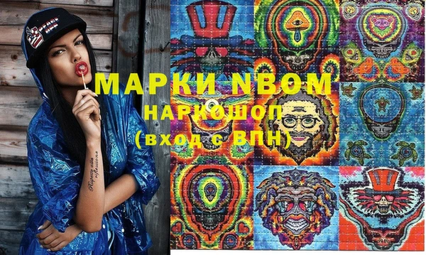 крисы Богородицк