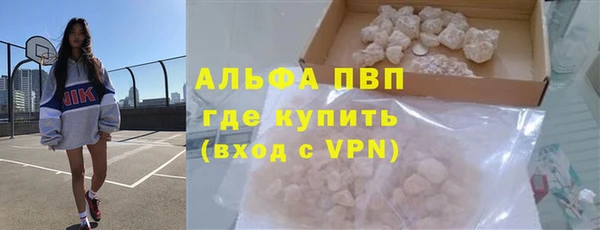 крисы Богородицк