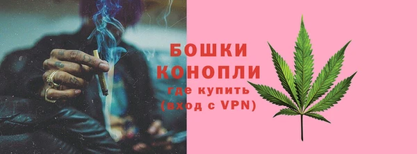 PSILOCYBIN Богородск