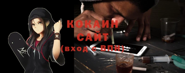 ПСИЛОЦИБИНОВЫЕ ГРИБЫ Богданович