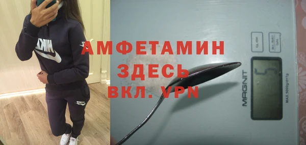 крисы Богородицк