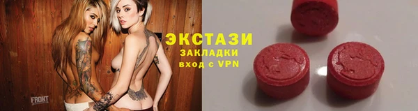 крисы Богородицк