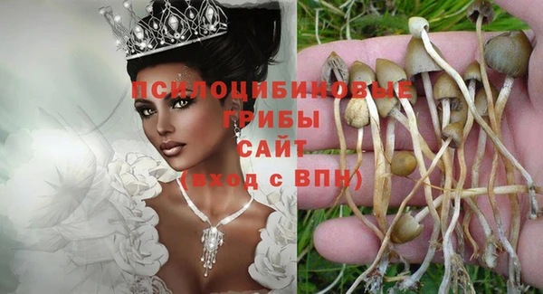 PSILOCYBIN Богородск