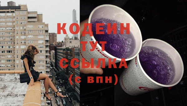 крисы Богородицк