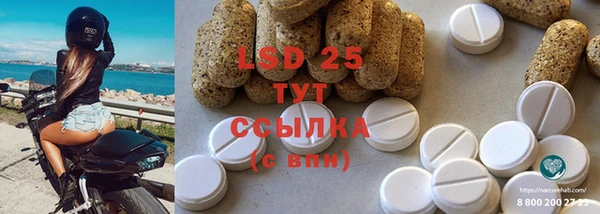 крисы Богородицк