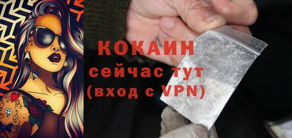ПСИЛОЦИБИНОВЫЕ ГРИБЫ Богданович
