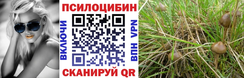 Псилоцибиновые грибы прущие грибы  ОМГ ОМГ вход  Новочеркасск 